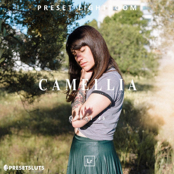 Archipelago - QUEST 46 CAMELLIA Lightroom Presets Desktop Android