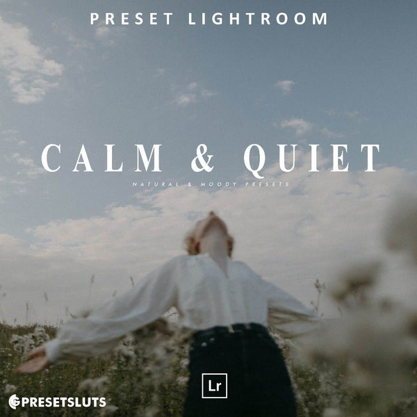 Calm & Quiet - Preset Package Lightroom Desktop & Mobile iOS Android