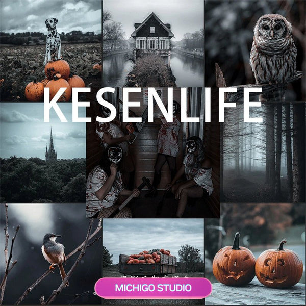 📸 LIGHTROOM PRESET | Halloween Dark Moody–Lightroom Preset (PR, FCPX, DaVinci LUT, Mobile, LR, PS) | MICHIGO STUDIO
