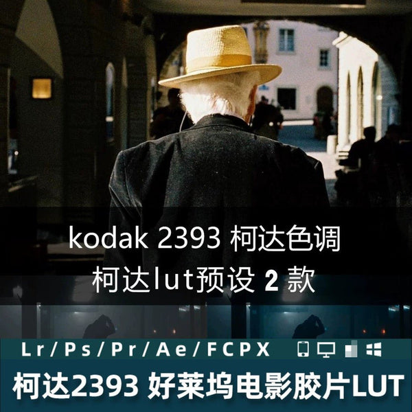 LUT 6728 | 🎬 Kodak 2393 Video LUT Preset LR Film Hollywood Vintage Color Grading SLOG2/SLOG