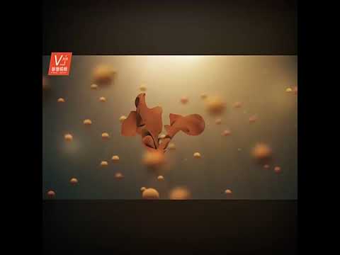 Visual Pack 🎬 | Beautiful Abstract Floating Particles & Lines | Dance Stage LED Screen Background VJ Loop 4K ✨