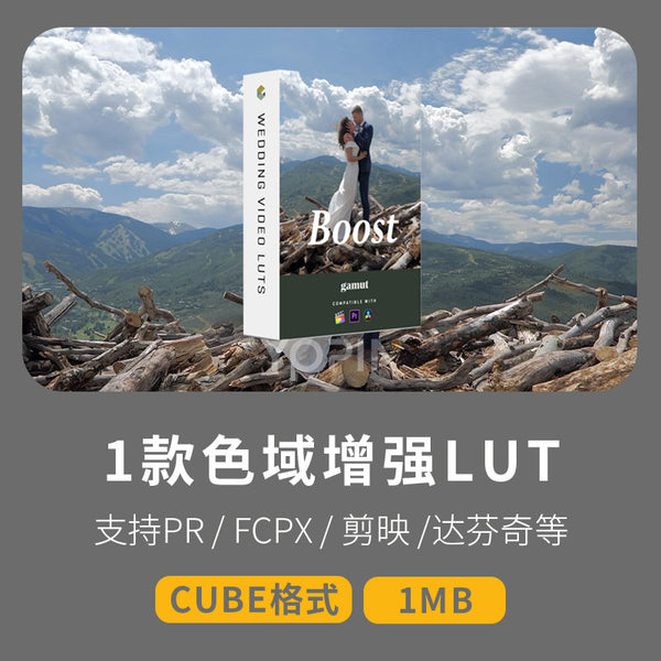 🎬 LUT | Soft Highlight Boost LUT • Enhanced Color & Contrast • Perfect for Wedding Grading 【MICHIGO STUDIO】