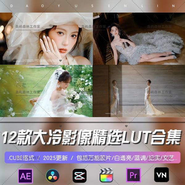 💍 Wedding LUTs – 12x Universal Portrait Color Presets (Cool/Fresh Film)