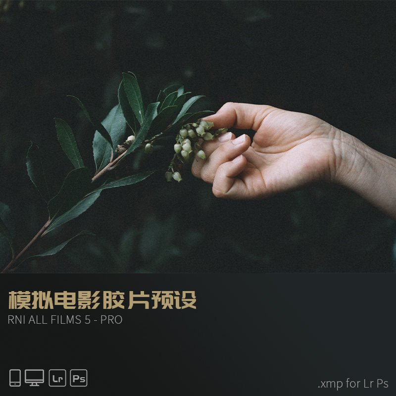 🎞️ **065 LR Lightroom Vintage Kodak & Fuji Film Simulation Photography Presets [ MICHIGO STUDIO ]** 📸✨ - MICHIGO STUDIO