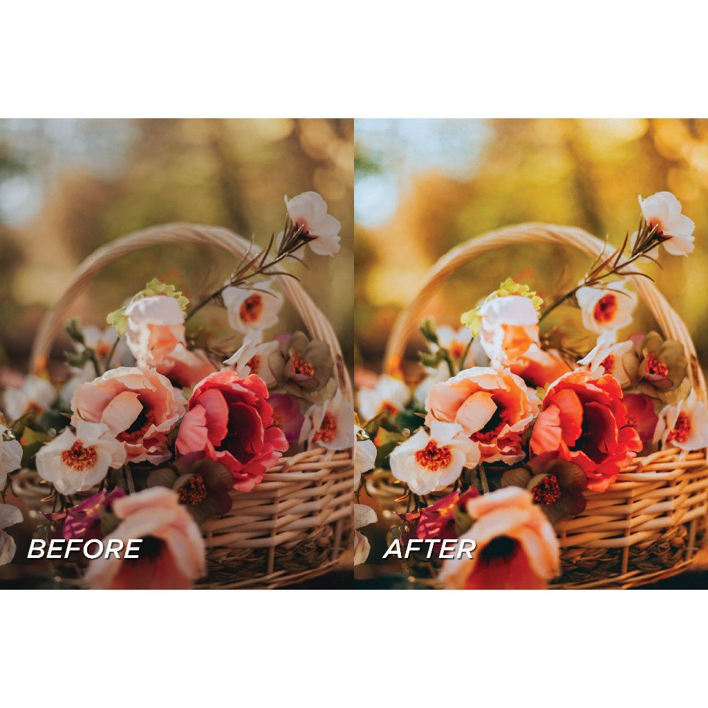 15 Sun Kissed Preset Lightroom & Video Filter LUTS Mobile (Android/IOS) & Dekstop - MICHIGO STUDIO