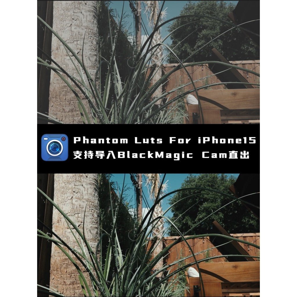 📱 1Ph0ne15/16 P/PM Phantom LUTs 🎥 Supports Blackmagic Cam & ARRI Presets [ MICHIGO STUDIO ] - MICHIGO STUDIO