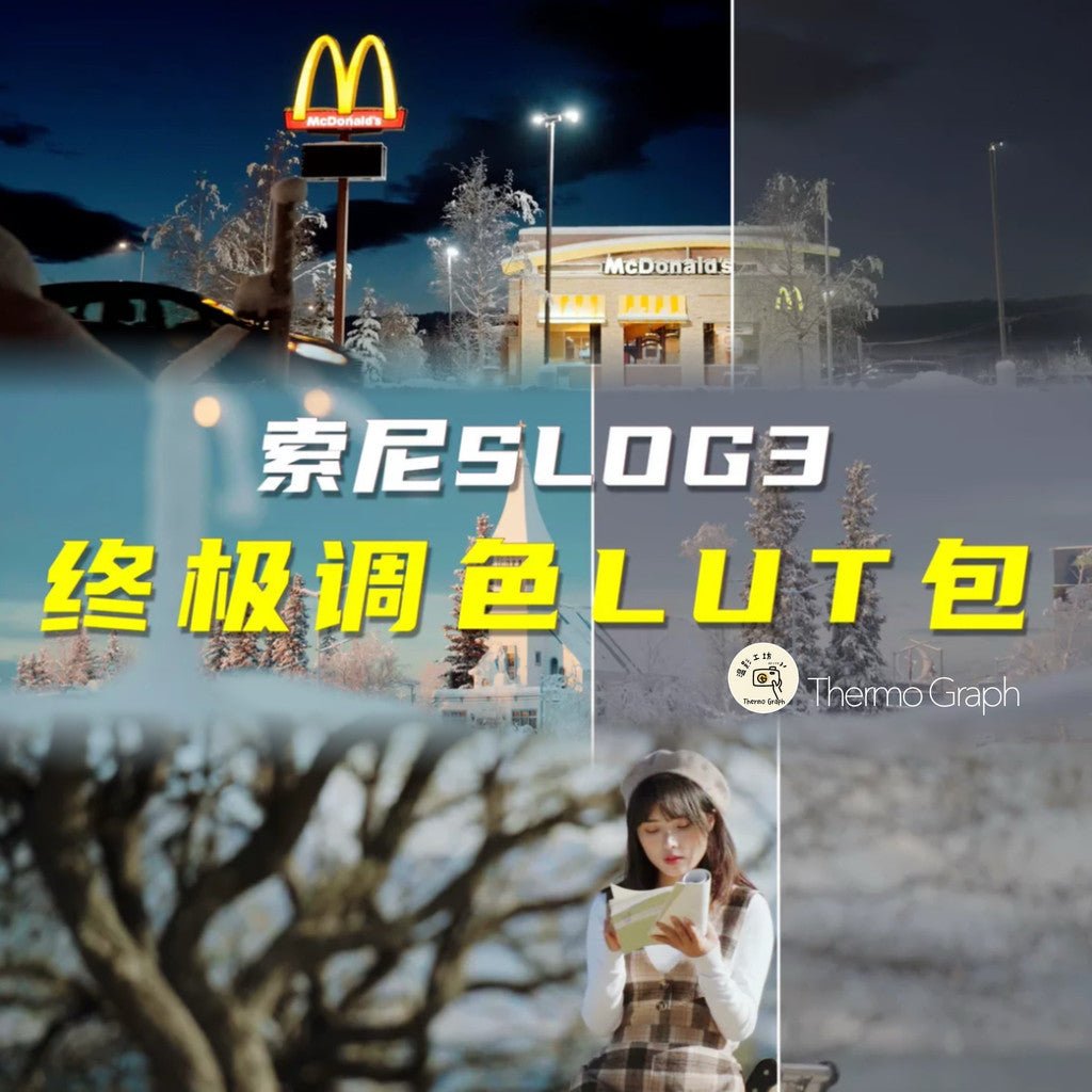 📦 2025 Ultimate Sony SLOG3 LUT Pack – 23 Cinematic Styles for Davinci - MICHIGO STUDIO