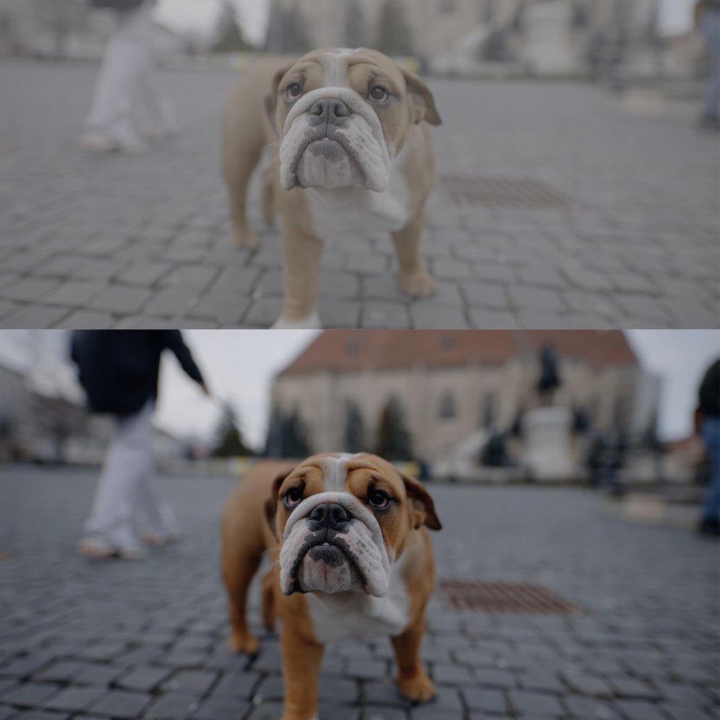🎬 21 Sony S - Log3 LUTs | FX3 A7M4 A7S3 Cinematic Color & Skin Tone 🎞️ - MICHIGO STUDIO