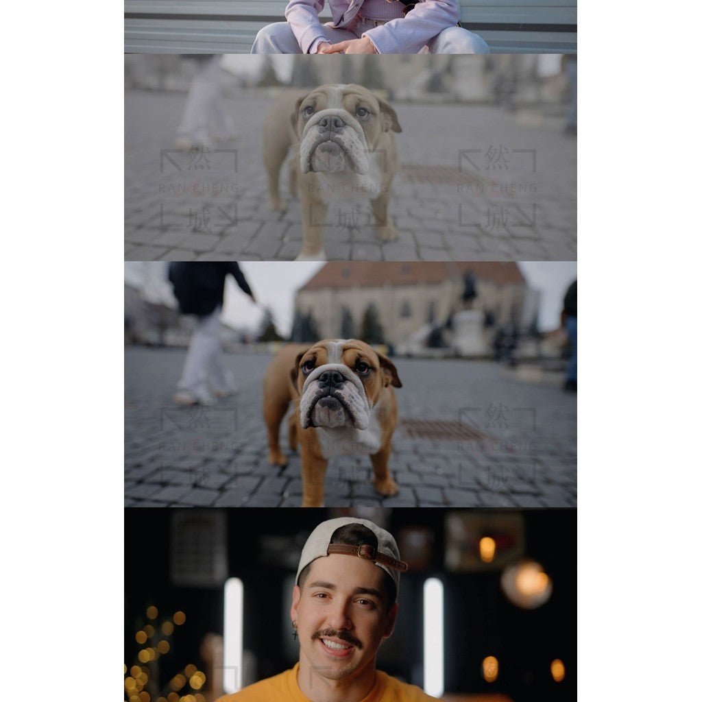 🎬 21 Sony S - Log3 LUTs | FX3 A7M4 A7S3 Cinematic Color & Skin Tone 🎞️ - MICHIGO STUDIO