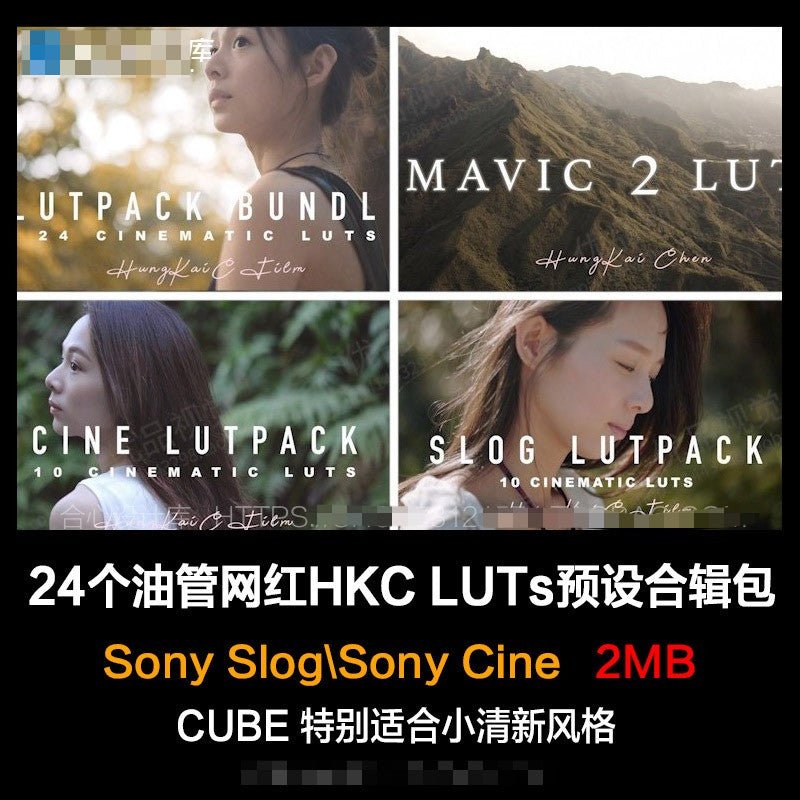 🎬 24x HKC YouTuber LUT Pack – Soft Sony S - Log LUTs for Vlog / Film Look (PR / FCPX) 🌿 - MICHIGO STUDIO