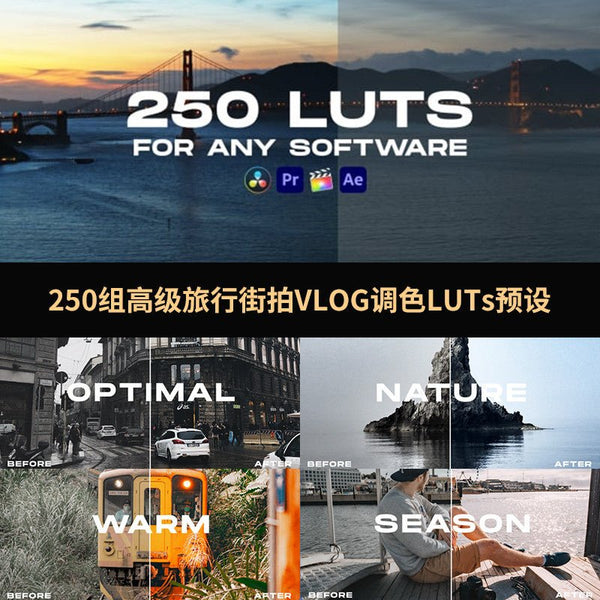 🎞️ 250 Premium LUTs – Vintage/Vlog/Travel Cinematic Filters for AE/PR/Davinci