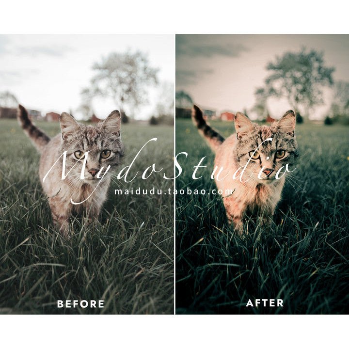 🌈 400 Premium LUTs ✨ 37 Styles for Mobile LR / PR / PS / CapCut / DaVinci [ MICHIGO STUDIO ] - MICHIGO STUDIO