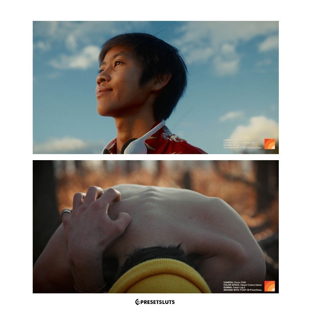 621 Danny Gevirtz FilmyColor – Filmy PowerGrade + LUTs | Adobe Premiere Davinci Resolve[ MICHIGO STUDIO ] - MICHIGO STUDIO