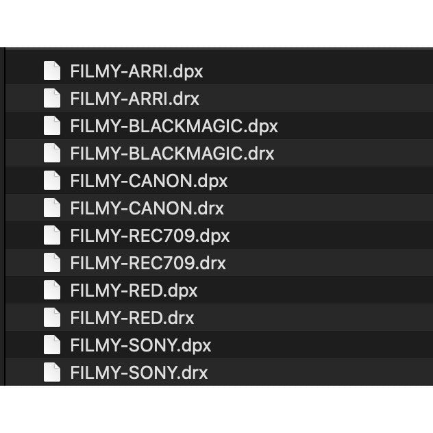 621 Danny Gevirtz FilmyColor – Filmy PowerGrade + LUTs | Adobe Premiere Davinci Resolve[ MICHIGO STUDIO ] - MICHIGO STUDIO