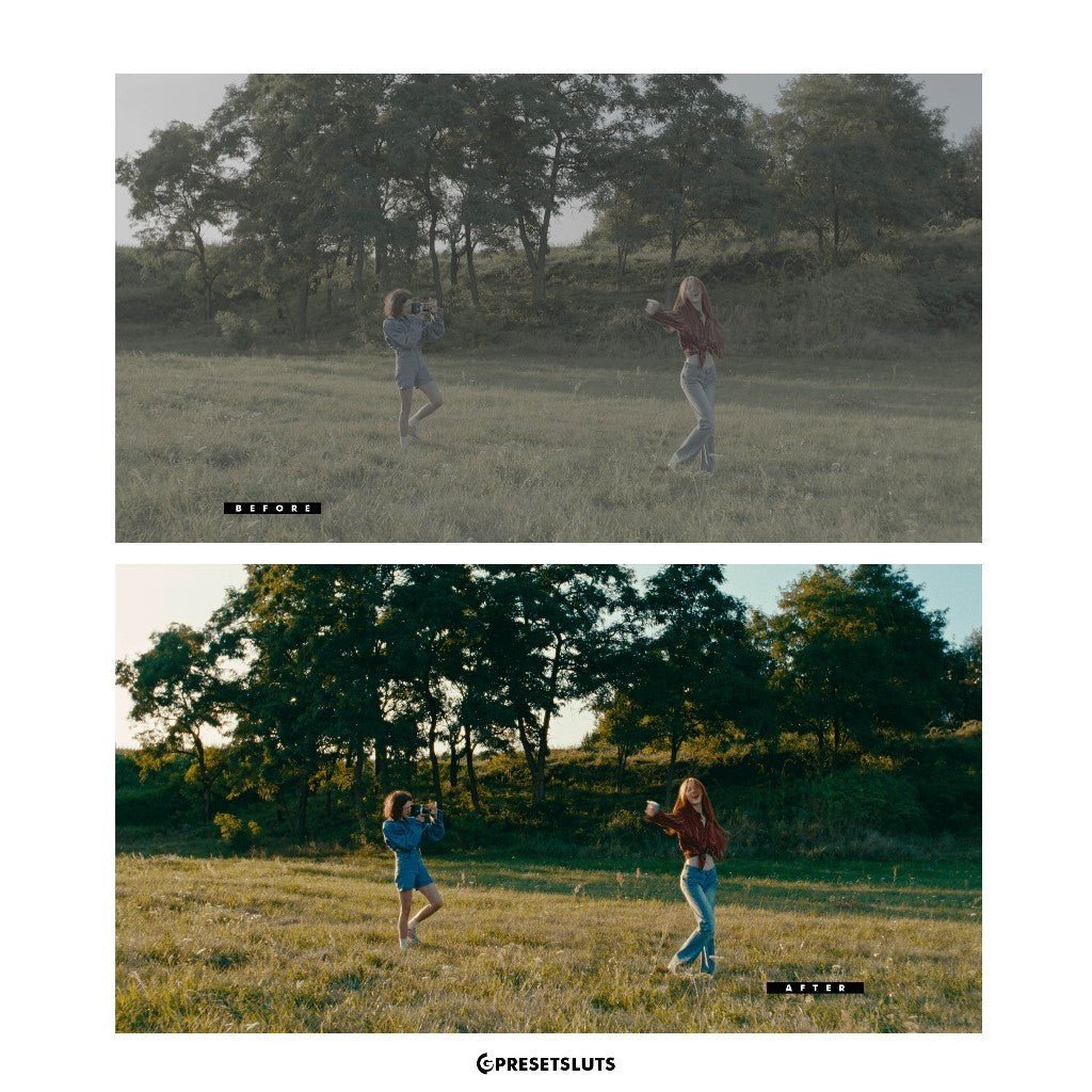 633 [NEW] FilmVision PRO by SERR Powergrades & LUTs | Davinci Resolve Adobe Premiere Final Cut[ MICHIGO STUDIO ] - MICHIGO STUDIO