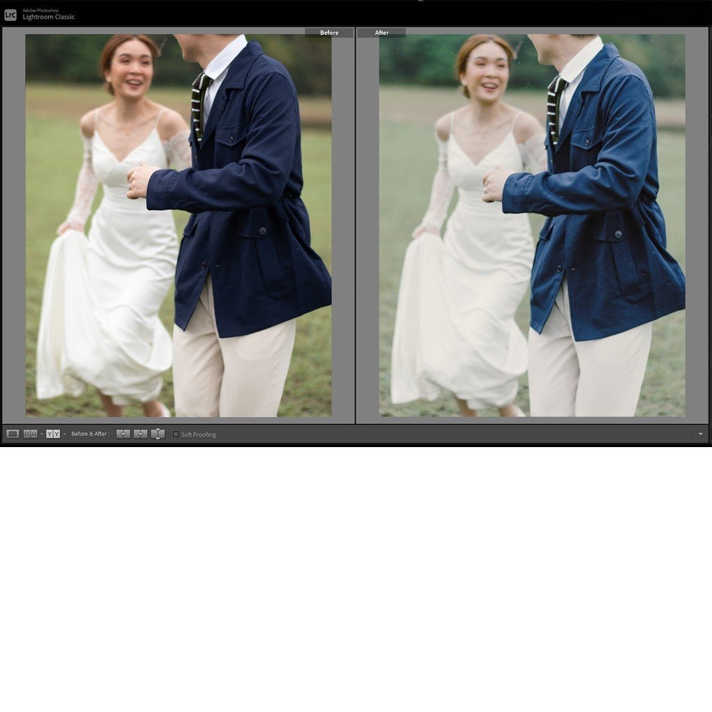 697 🎨 Preset + LUT – ILUMINEN Original Best Seller for Lightroom,Photoshop, Premiere & DaVinci - MICHIGO STUDIO