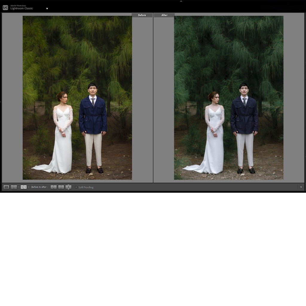 697 🎨 Preset + LUT – ILUMINEN Original Best Seller for Lightroom,Photoshop, Premiere & DaVinci - MICHIGO STUDIO
