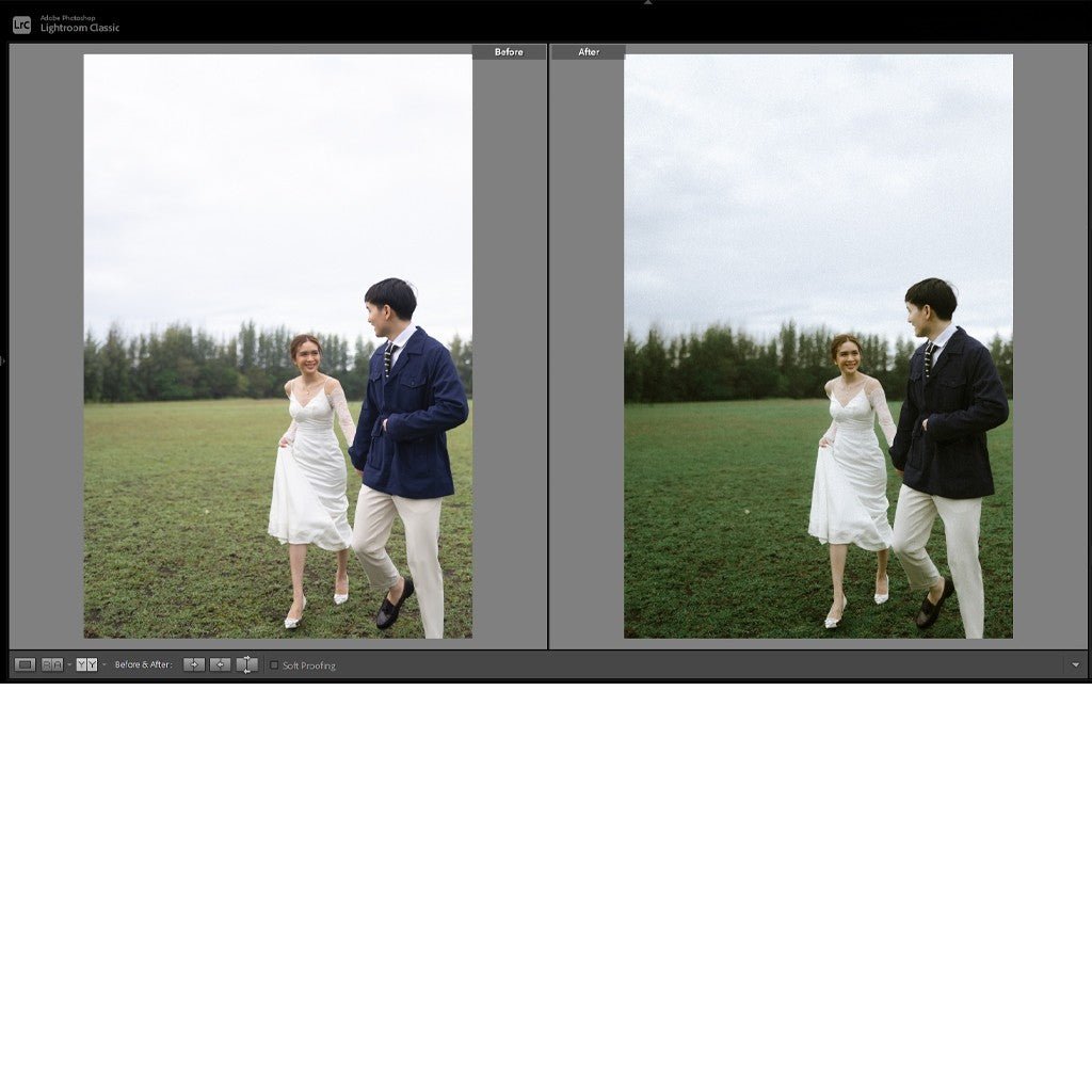 697 🎨 Preset + LUT – ILUMINEN Original Best Seller for Lightroom,Photoshop, Premiere & DaVinci [ MICHIGO STUDIO ] - MICHIGO STUDIO