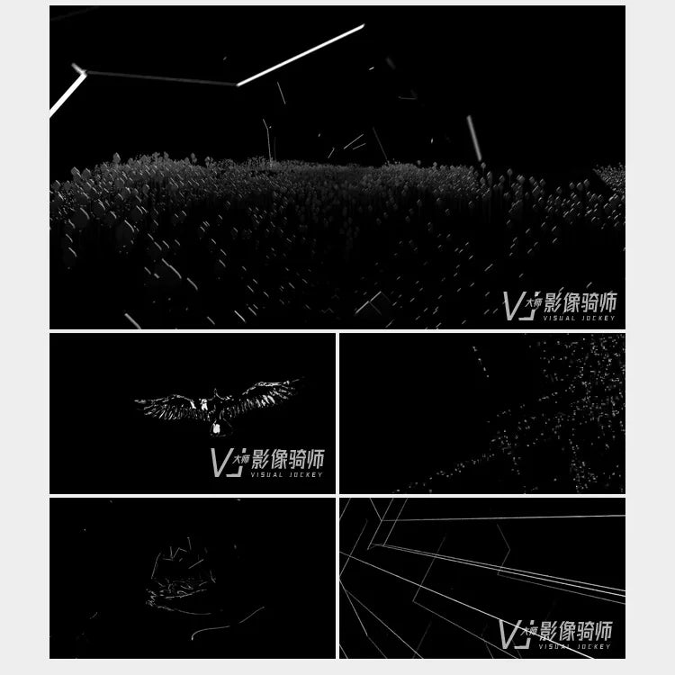 Visual Pack 🎬 | Black & White 3D Geometric Splicing Tree Visual | Glasses-Free LED Screen Live VJ Loop ✨⚫⚪