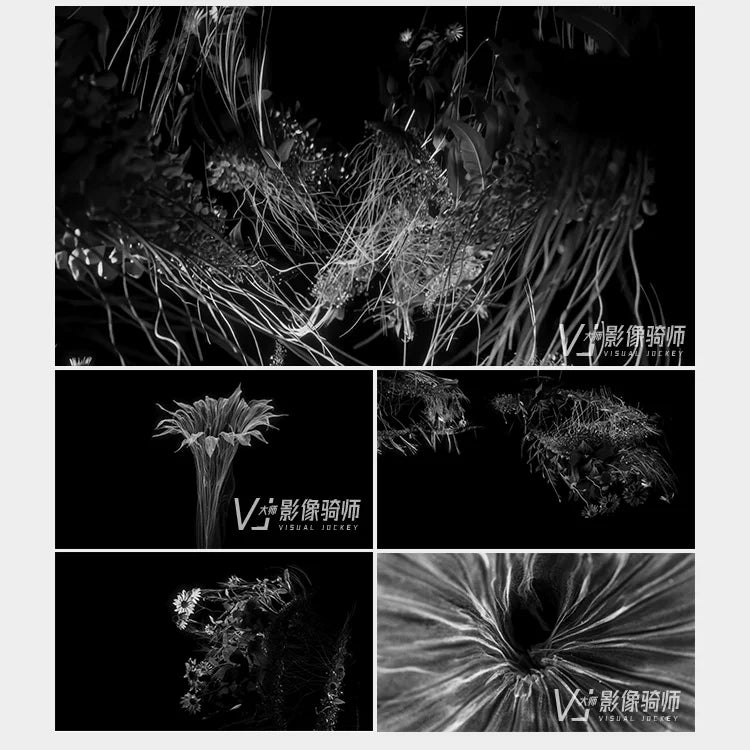 Visual Pack 🎬 | Abstract Particle Flower Bloom Visual | LED Stage Background VJ Loop ✨🌸