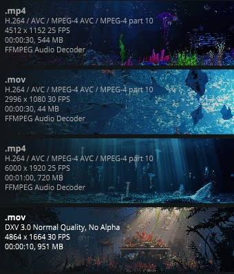 Deep Sea Underwater World VJ Visuals 🌊 Majestic Whales, Coral Reefs & Tropical Fish Island | High-Quality LED Stage Background for Livehouse & Aquarium Events 🐋🪸