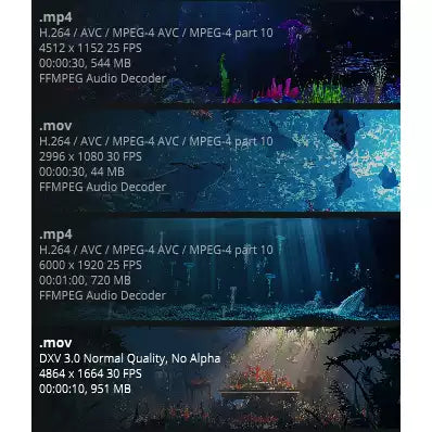 Deep Sea Underwater World VJ Visuals 🌊 Majestic Whales, Coral Reefs & Tropical Fish Island | High-Quality LED Stage Background for Livehouse & Aquarium Events 🐋🪸