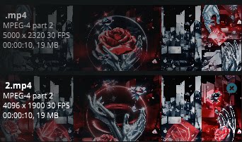 Premium Red Rose & Petal Assets: Luxury Hand-Held Roses & Glowing Particles | High-End Cinematic LED Screen Backgrounds for Live House, Stage & Weddings 🌹✨🎥 Red FX