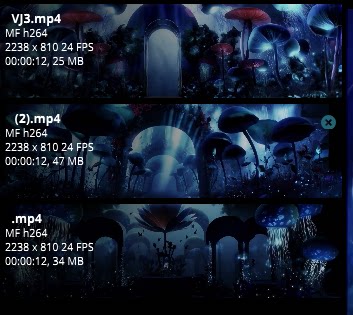 Premium Underwater Secret Realm: Glowing Jellyfish & Colorful Floral Jungle. High-Impact VJ Loop for Livehouse, Nightclubs & Psychedelic Stage LED Displays. 🪼🌺🌊✨