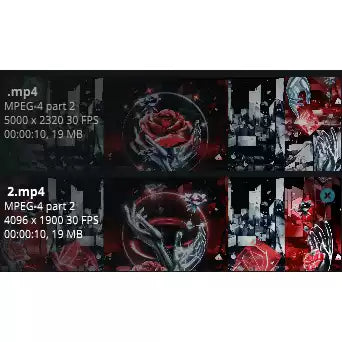 Premium Red Rose & Petal Assets: Luxury Hand-Held Roses & Glowing Particles | High-End Cinematic LED Screen Backgrounds for Live House, Stage & Weddings 🌹✨🎥 Red FX