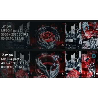 Premium Red Rose & Petal Assets: Luxury Hand-Held Roses & Glowing Particles | High-End Cinematic LED Screen Backgrounds for Live House, Stage & Weddings 🌹✨🎥 Red FX
