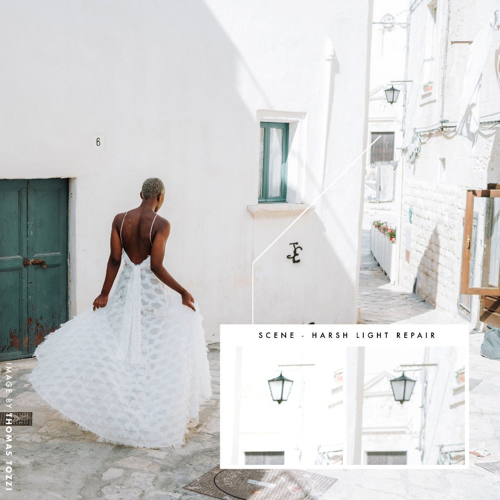 Archipelago AI WEDDING TOOLSET Lightroom Presets Desktop[ MICHIGO STUDIO ] - MICHIGO STUDIO