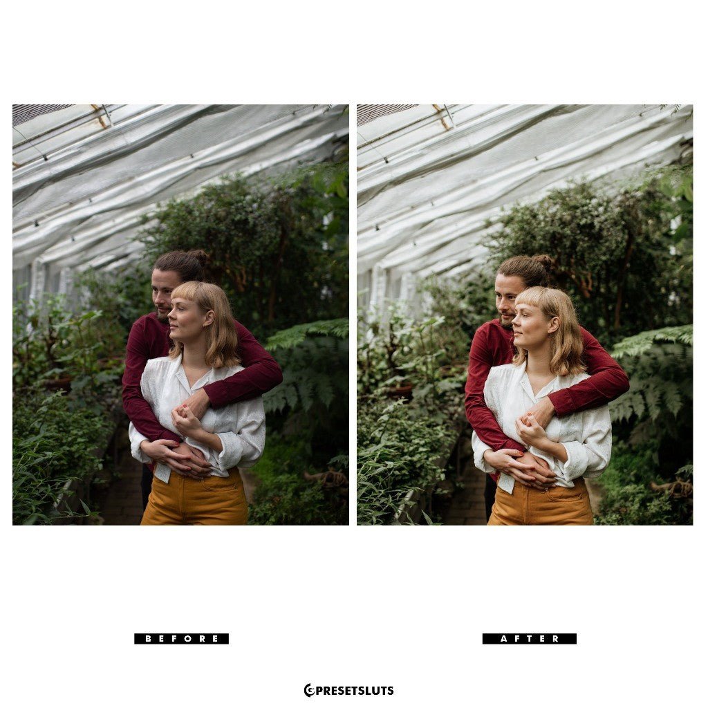 Archipelago - ALETHEIA (New) Lightroom Presets Desktop Android[ MICHIGO STUDIO ] - MICHIGO STUDIO