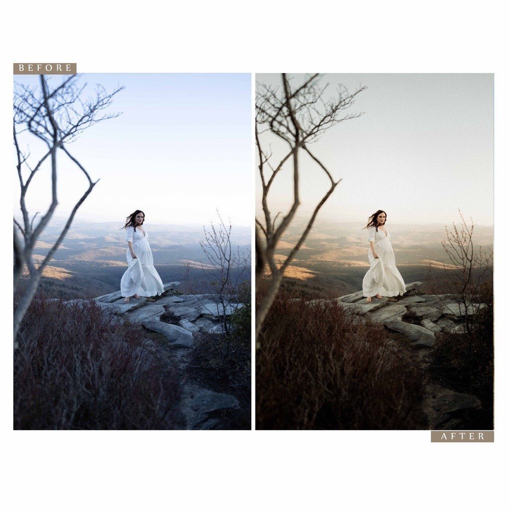 Archipelago ASTERIA Lightroom Presets[ MICHIGO STUDIO ] - MICHIGO STUDIO