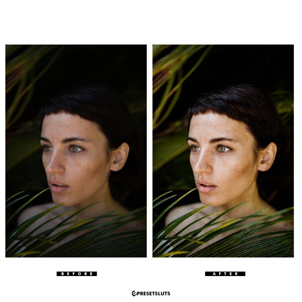 Archipelago - Light & Truth Desktop + Mobile Versions Lightroom Presets Profiles Desktop Android[ MICHIGO STUDIO ] - MICHIGO STUDIO