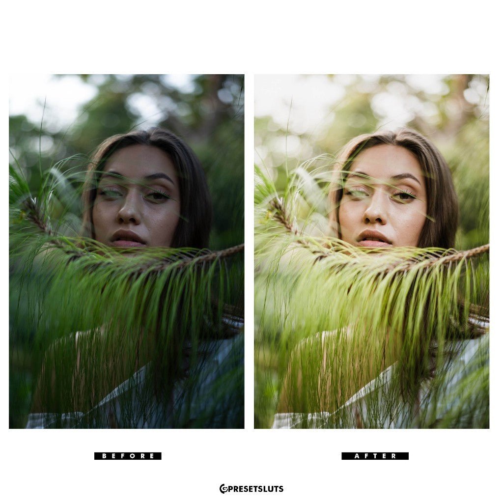 Archipelago - Light & Truth Desktop + Mobile Versions Lightroom Presets Profiles Desktop Android[ MICHIGO STUDIO ] - MICHIGO STUDIO
