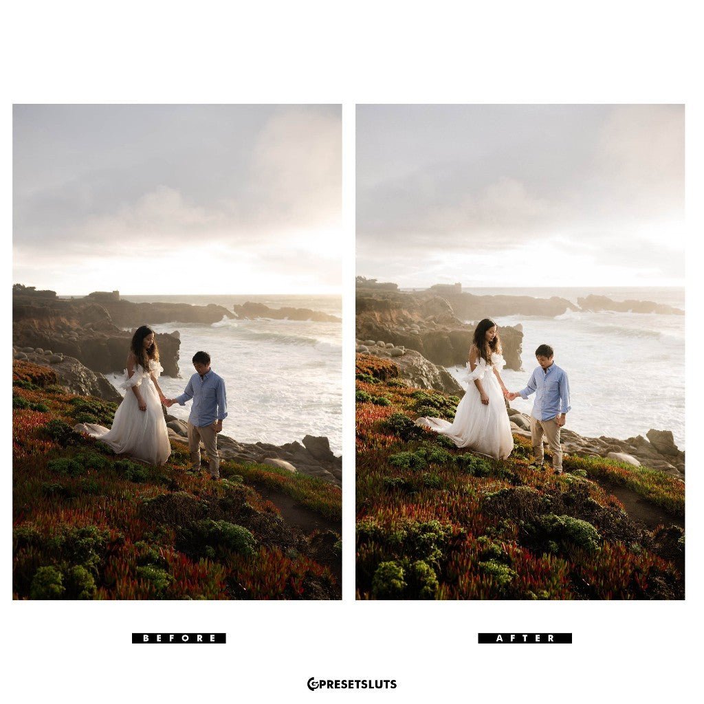 Archipelago - Light & Truth Desktop + Mobile Versions Lightroom Presets Profiles Desktop Android[ MICHIGO STUDIO ] - MICHIGO STUDIO