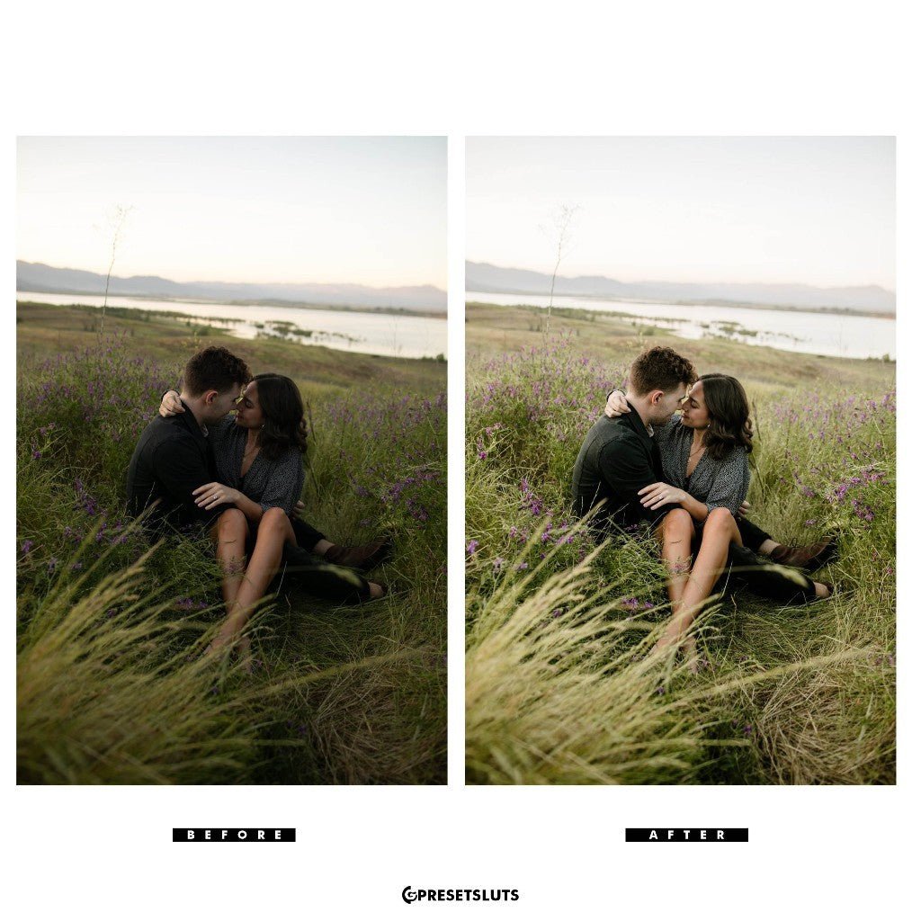 Archipelago - Light & Truth Desktop + Mobile Versions Lightroom Presets Profiles Desktop Android[ MICHIGO STUDIO ] - MICHIGO STUDIO