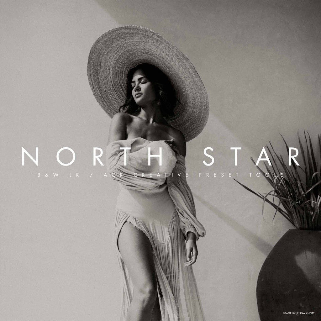 Archipelago NORTH STAR B+W Lightroom Presets[ MICHIGO STUDIO ] - MICHIGO STUDIO