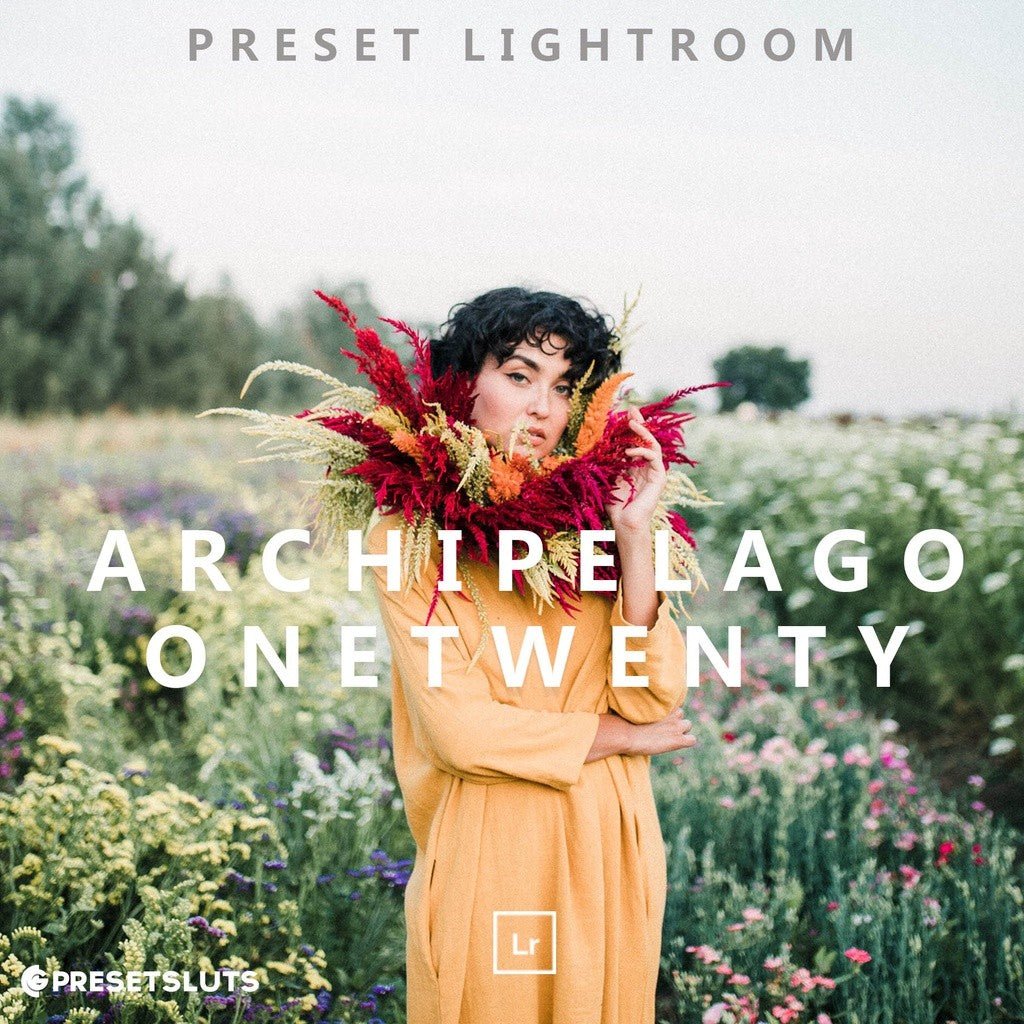 Archipelago ONETWENTY Lightroom Preset Desktop IOS Android[ MICHIGO STUDIO ] - MICHIGO STUDIO