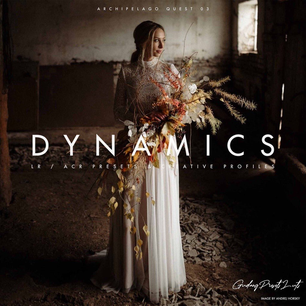 Archipelago QUEST 03 DYNAMICS Lightroom Presets[ MICHIGO STUDIO ] - MICHIGO STUDIO