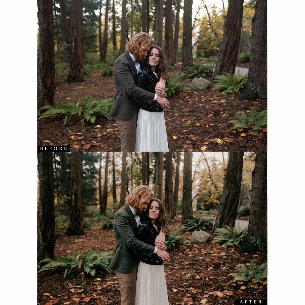 Archipelago QUEST 04 AURORA Lightroom Presets[ MICHIGO STUDIO ] - MICHIGO STUDIO