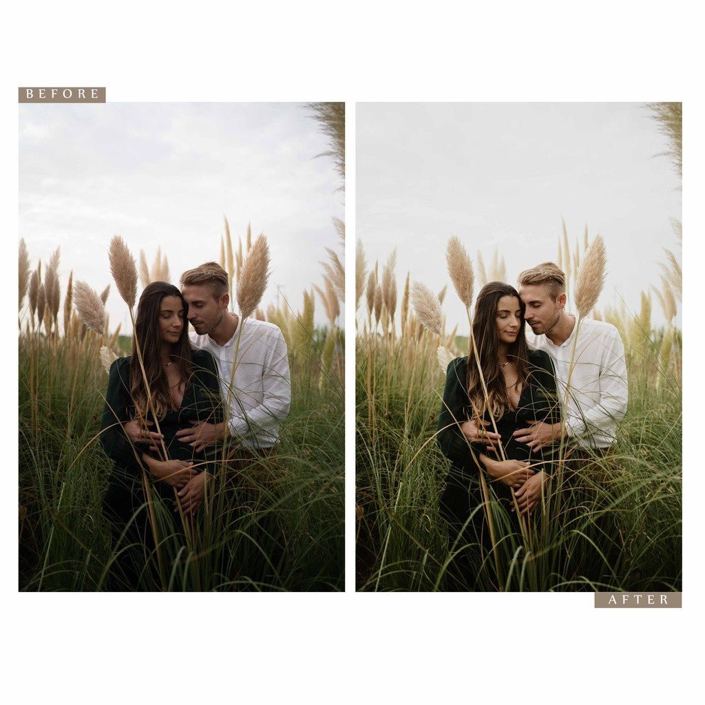 Archipelago QUEST 13 INTREPID Lightroom Presets[ MICHIGO STUDIO ] - MICHIGO STUDIO