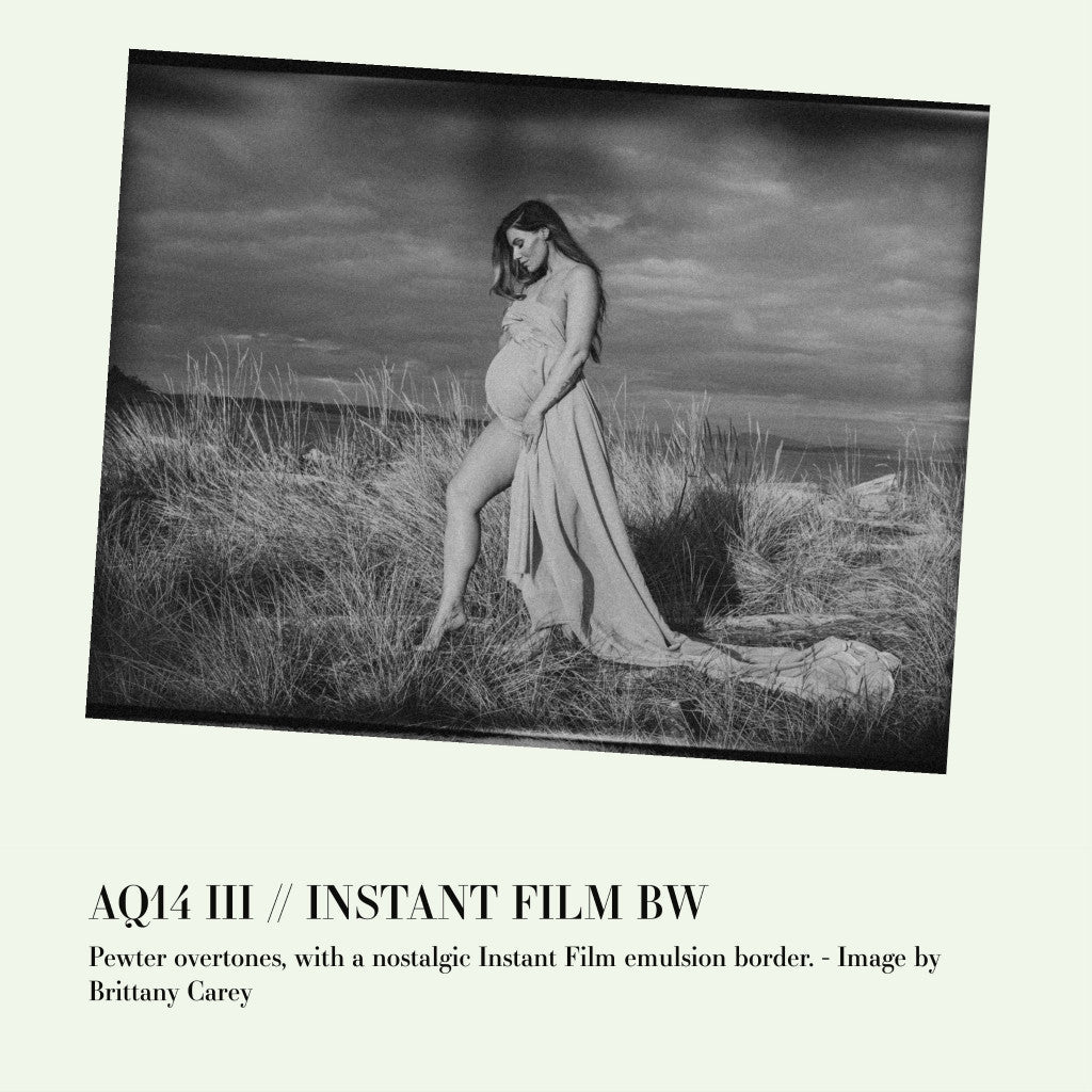 Archipelago QUEST 14 - INSTANT FILM BW Lightroom Presets Desktop Android[ MICHIGO STUDIO ] - MICHIGO STUDIO