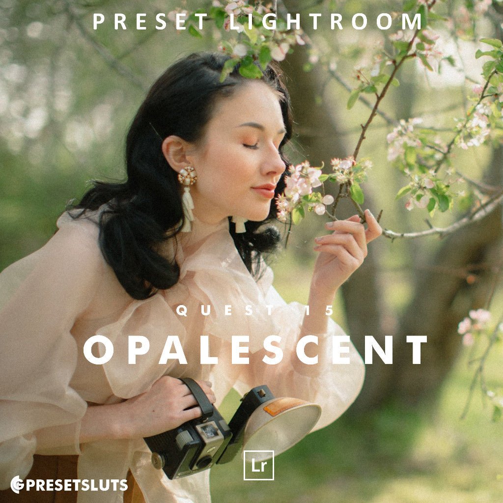 Archipelago QUEST 15 OPALESCENT Lightroom Presets Desktop Android[ MICHIGO STUDIO ] - MICHIGO STUDIO