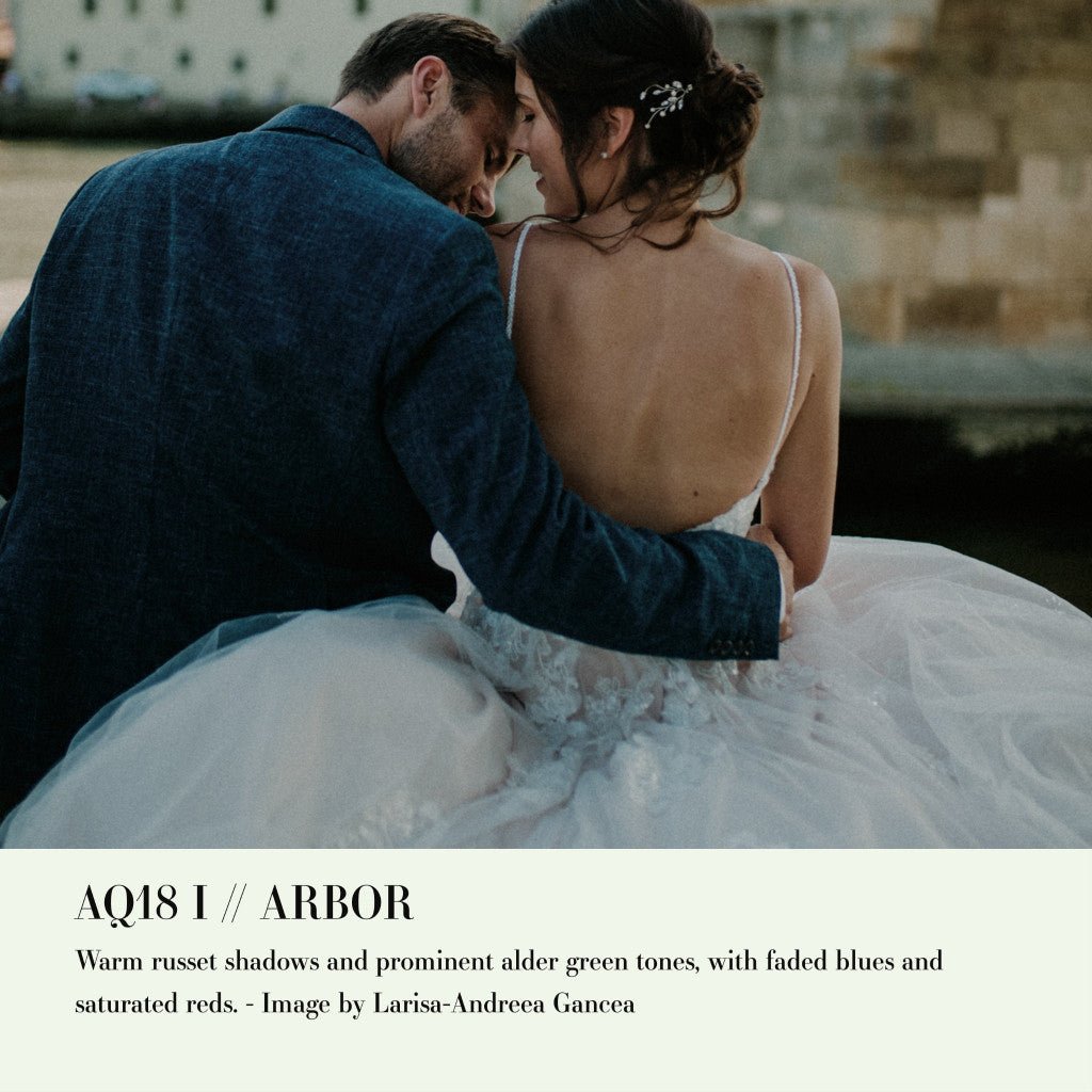 Archipelago QUEST 18 ARBOR Lightroom Presets Desktop Android[ MICHIGO STUDIO ] - MICHIGO STUDIO