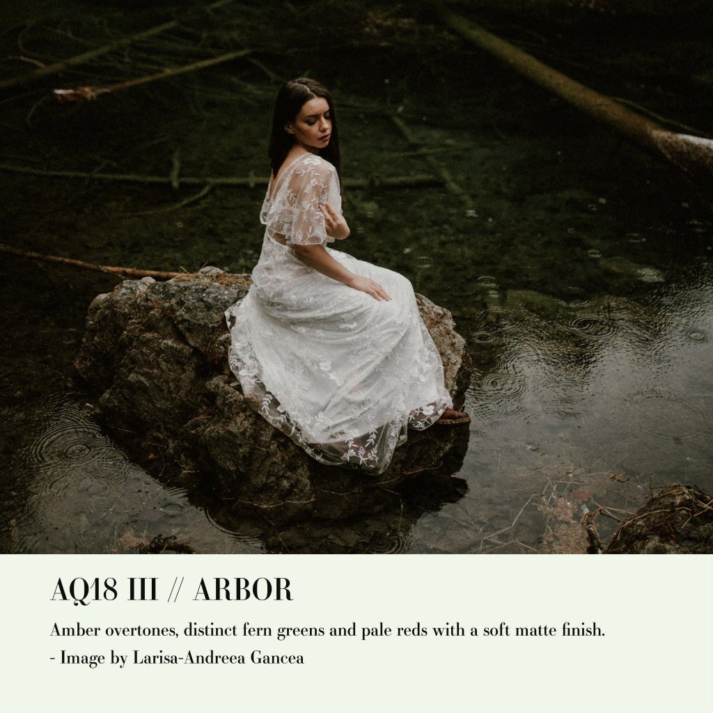 Archipelago QUEST 18 ARBOR Lightroom Presets Desktop Android[ MICHIGO STUDIO ] - MICHIGO STUDIO