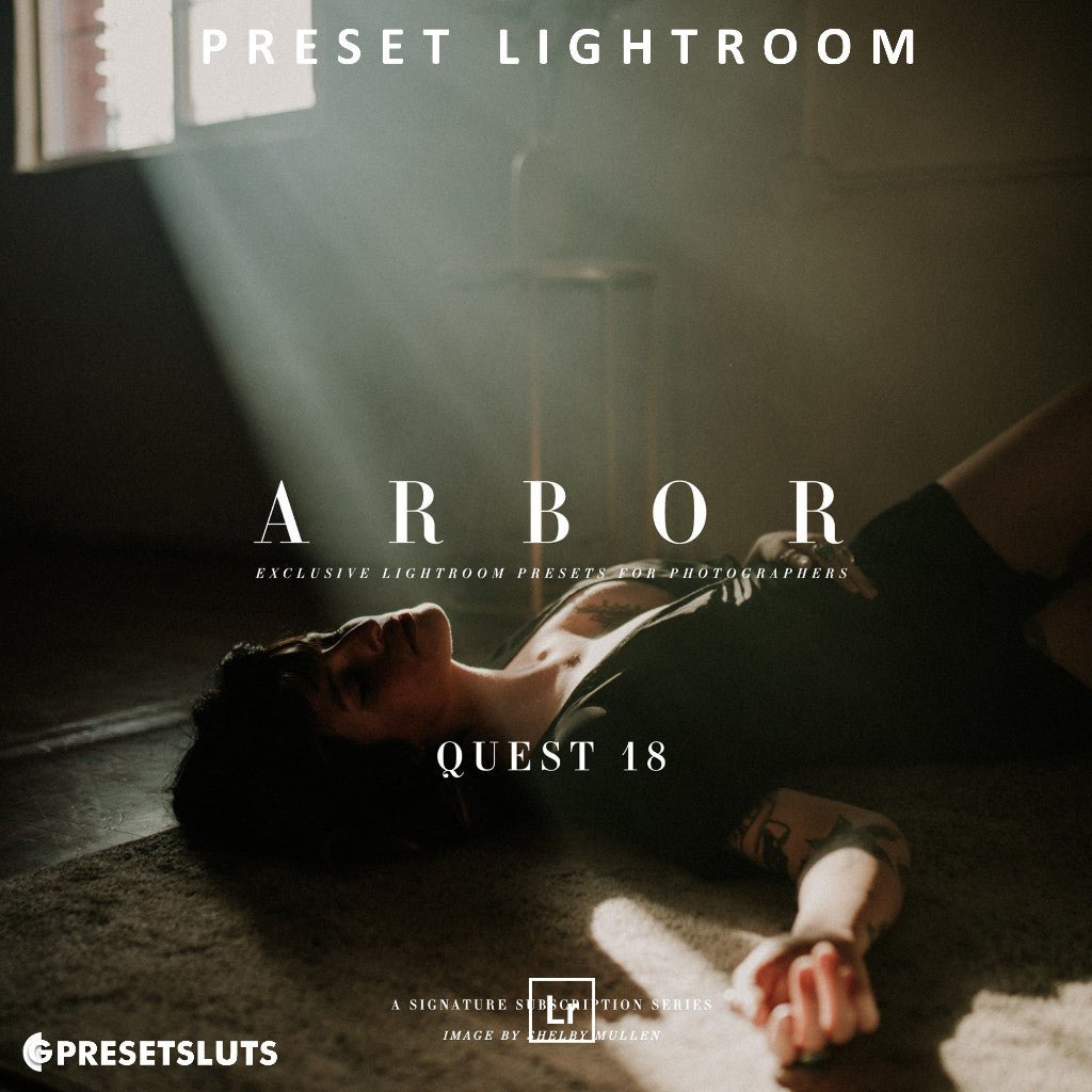 Archipelago QUEST 18 ARBOR Lightroom Presets Desktop Android[ MICHIGO STUDIO ] - MICHIGO STUDIO