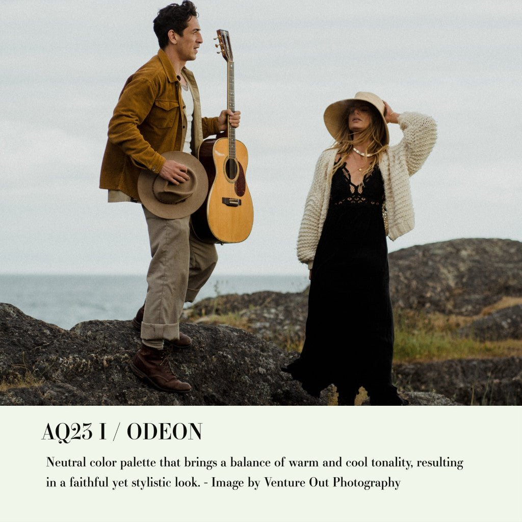 Archipelago QUEST 23 ODEON Lightroom Presets Desktop Android[ MICHIGO STUDIO ] - MICHIGO STUDIO