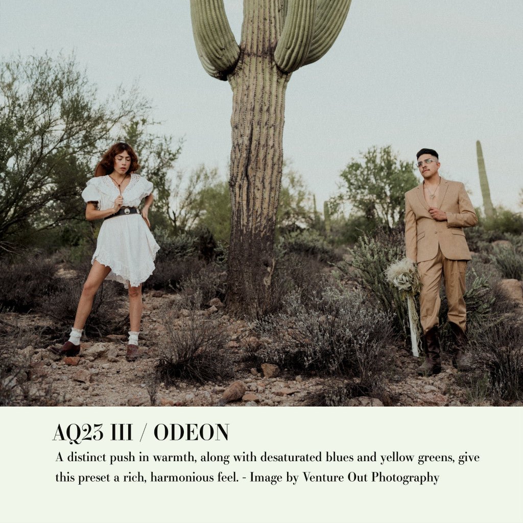 Archipelago QUEST 23 ODEON Lightroom Presets Desktop Android[ MICHIGO STUDIO ] - MICHIGO STUDIO