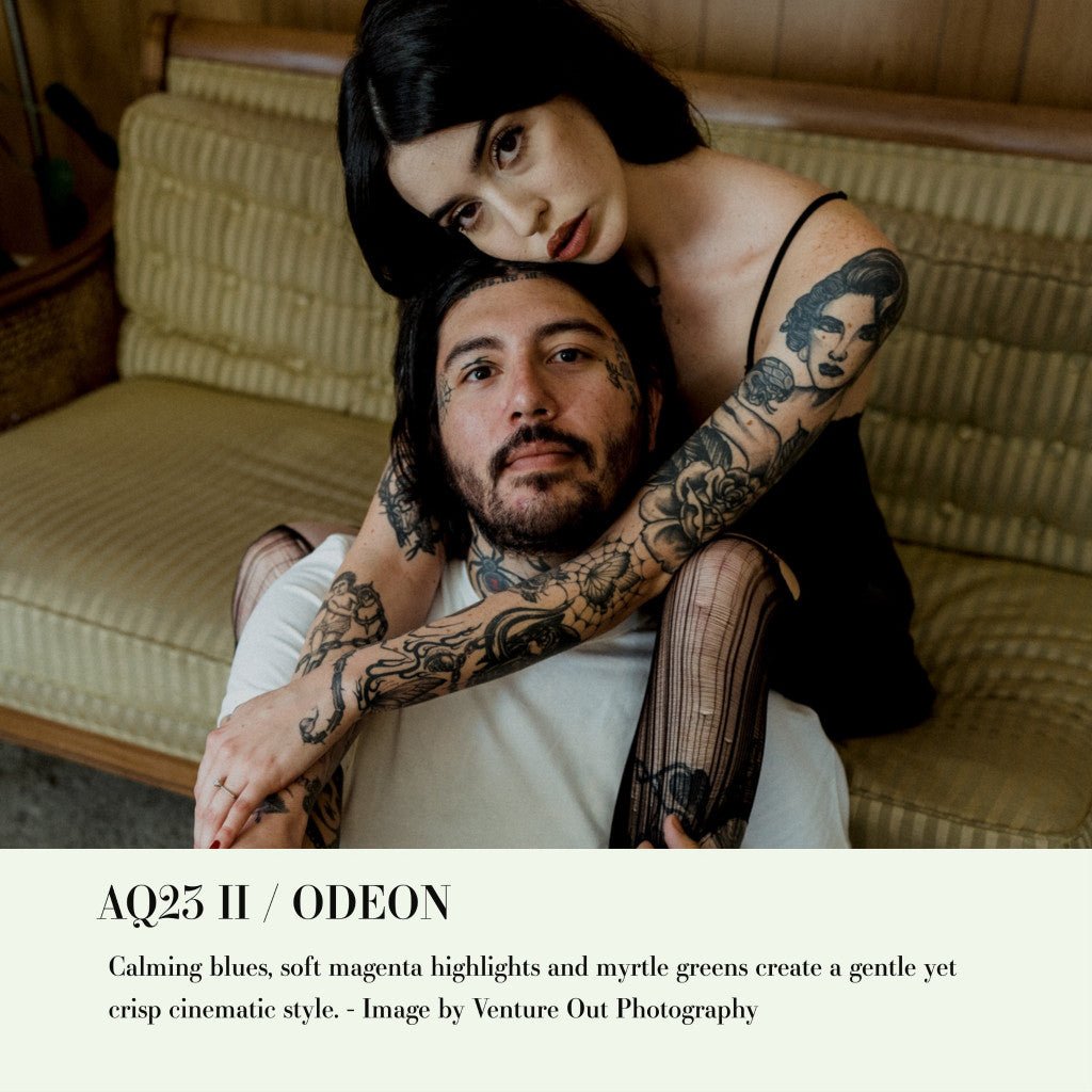 Archipelago QUEST 23 ODEON Lightroom Presets Desktop Android[ MICHIGO STUDIO ] - MICHIGO STUDIO